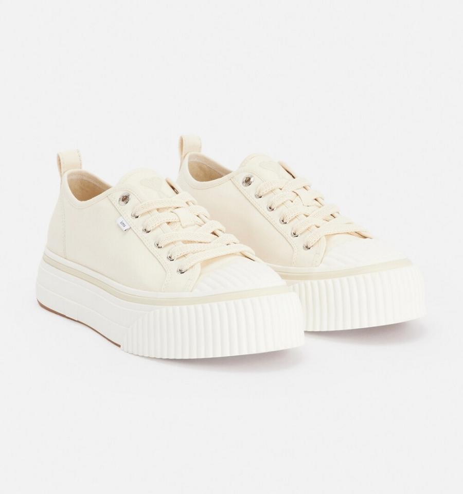 Beige Ami Paris Low Top Ami 1980 Sneakers | ami_IE246