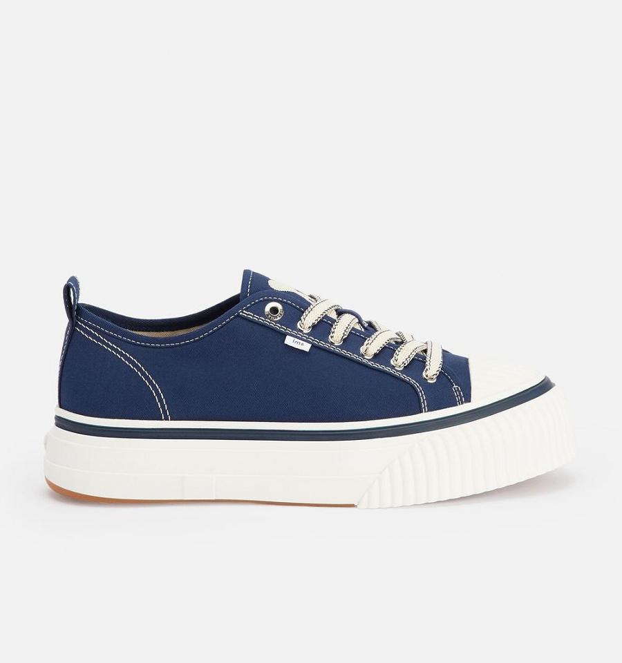 Navy Ami Paris Low Top Ami 1980 Sneakers | ami_IE589